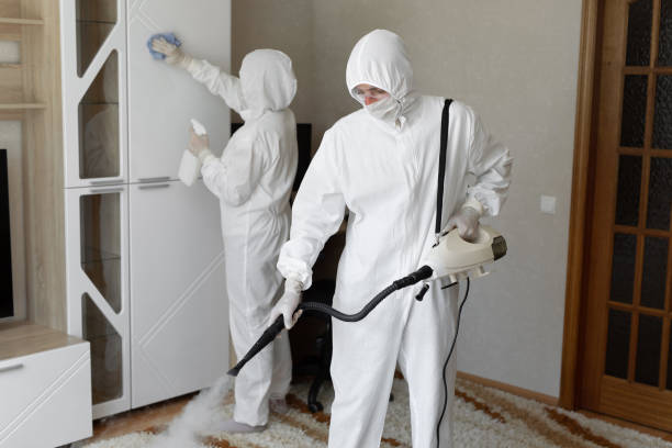 Affordable Sewage Cleanup solutions in Maeystown, IL