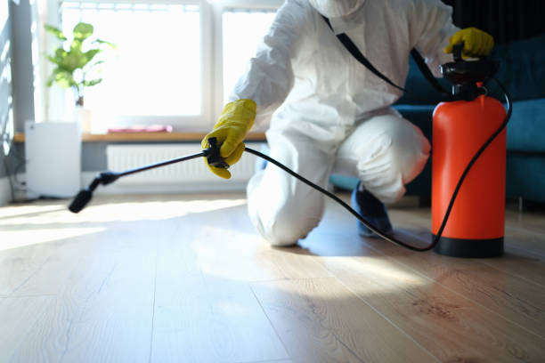 Reliable Sewage Cleanup contractor in Maeystown, IL by Crime Scene Cleaner Online